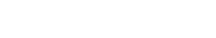 Celestial Guardian